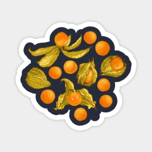 Physalis - Golden berries on light yellow Magnet