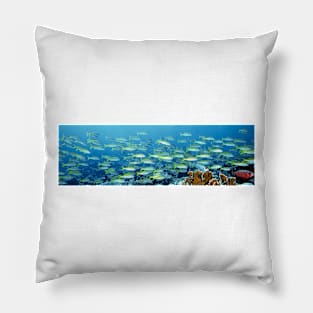 Reef scene (C010/5137) Pillow