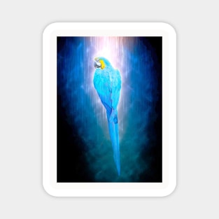 Parrot Bird Animal Wildlife Forest Jungle Nature Travel Digital Painting Magnet