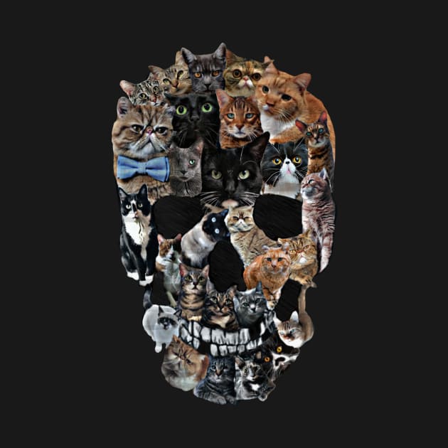 Cat Skull by Pete the Cat Guy