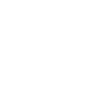 All You Need Is Love and A Dog Magnet