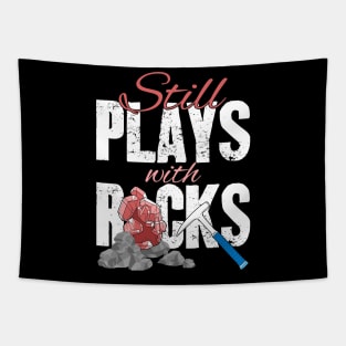 Still Plays With Rocks Geologist Tapestry