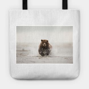 Brown bear, Alaska, USA (C020/0638) Tote