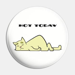 Not Today Cat Pin