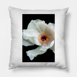 Snow White Peony Pillow