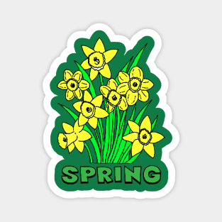 Spring Magnet