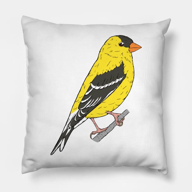 Spinus tristis - American Goldfinch Pillow by bangart