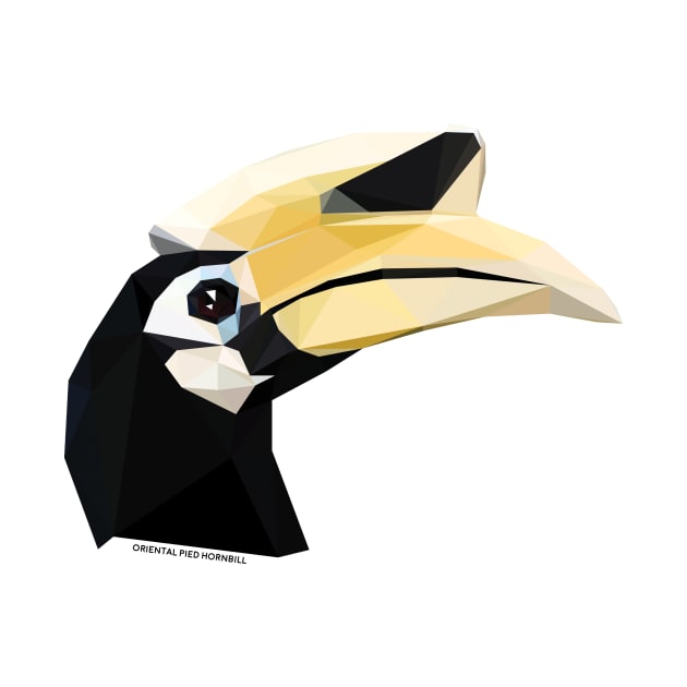 Oriental Pied Hornbill by GeometricWildlife