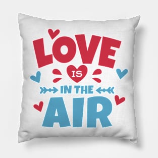 Love is in the Air Funny Pillow