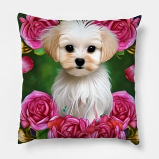 Cute Maltese Puppy Pillow