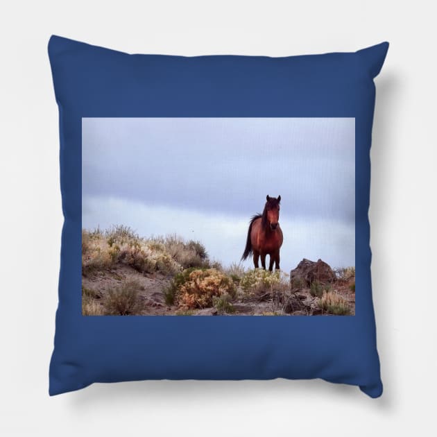 Wild Horses, Mustangs, Western Knight Pillow by sandyo2ly