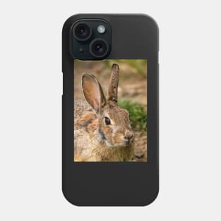 Wild Rabbit Close Up Phone Case