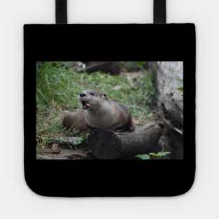 Funny Otter Tote