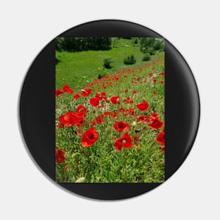 Poppy flower field, poppies mountain view, oil paint effect Pin