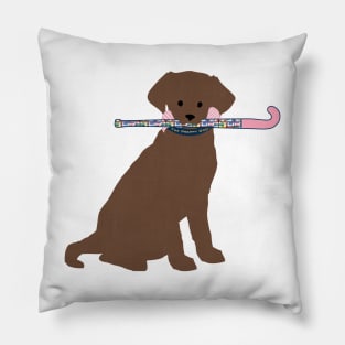 Chocolate Lab Preppy Madras Field Hockey Dog Pillow