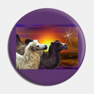 Bactrian Camels in the desert art gift. Pin