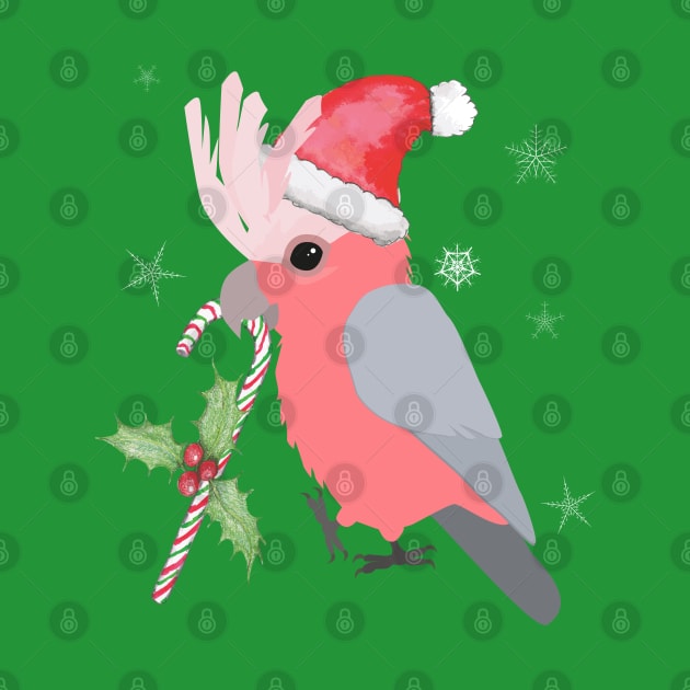 A cute Christmas galah cockatoo by Bwiselizzy