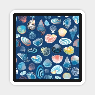 colorful sea shells on dark blue background Magnet