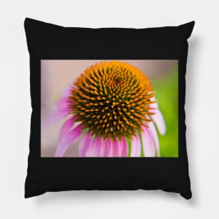 Purple Coneflower Pillow