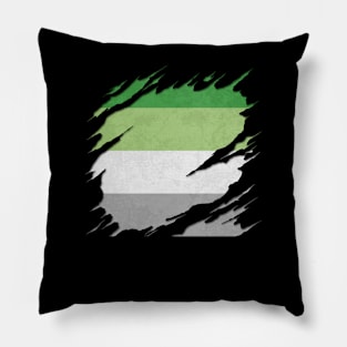 Aromantic Pride Flag Ripped Reveal Pillow