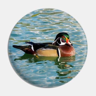 A Wood Duck Swimming Pin