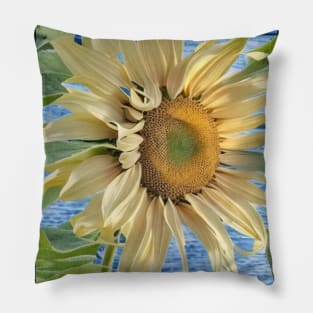 sunflower digital design Pillow