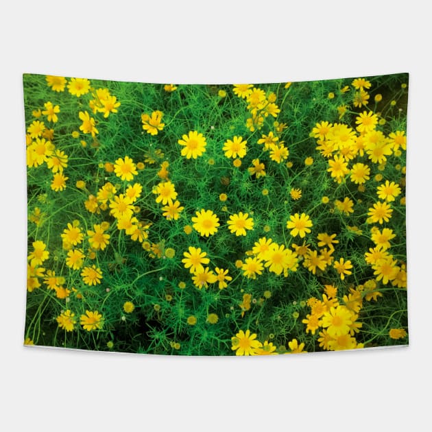 Blooming sulfur cosmos (yellow cosmos) flower bushes Tapestry by FOGSJ