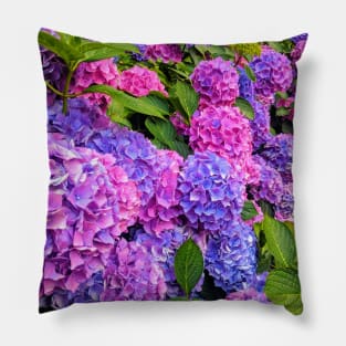 Hydrangeas at the Victoria & Albert Museum Pillow