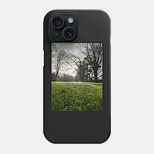 Spring morning in goathland Phone Case