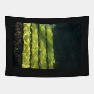 Small Fry Tapestry