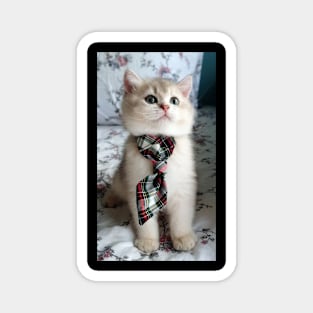 the ribbon cute cats Magnet