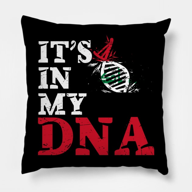 It's in my DNA - Iraq Pillow by JayD World