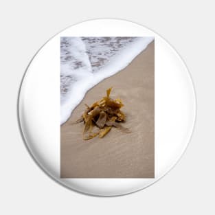 Seaweed Pin