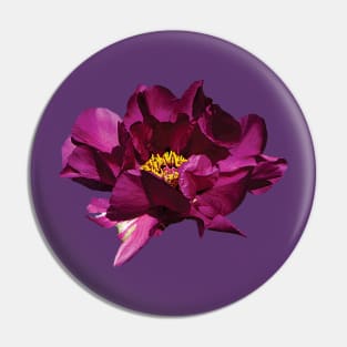 Peonies - Magenta Peony Pin