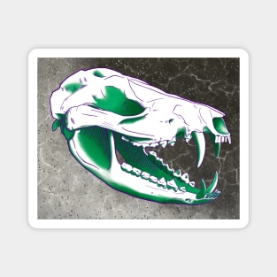 Genderqueer Opossum Skull Magnet