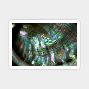 BLACK RAINBOW MOTHER OF PEARL SHELL METALLIC SHIMMER Magnet