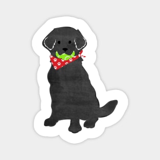 Cute Preppy Black Lab - Tennis Balls In Mouth Magnet