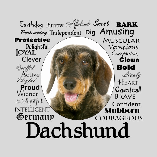 Wirehaired Dachshund by You Had Me At Woof