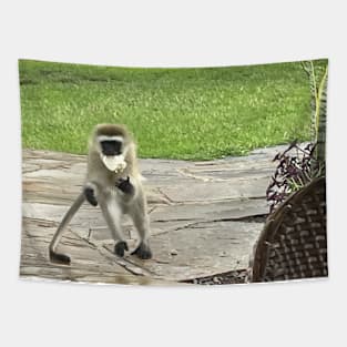 monkey eating rice cake - Kenya Tapestry