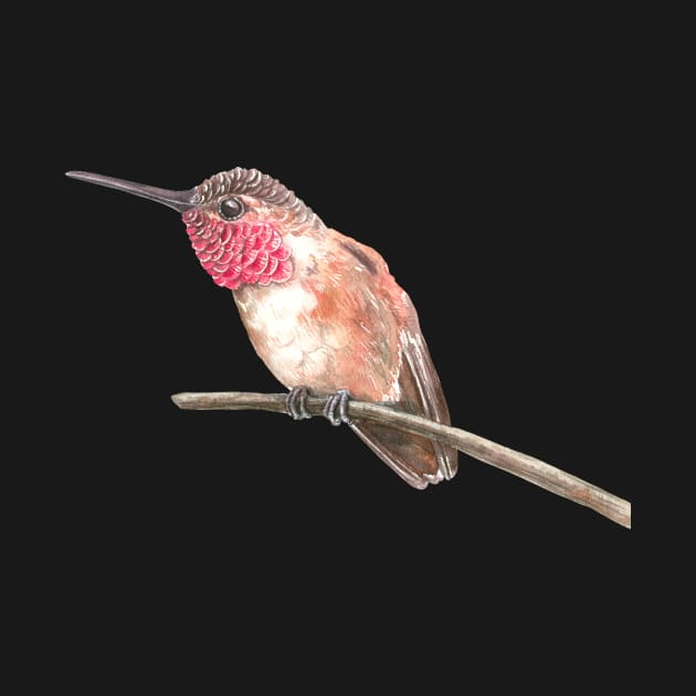 Hummingbird watercolor by katerinamk