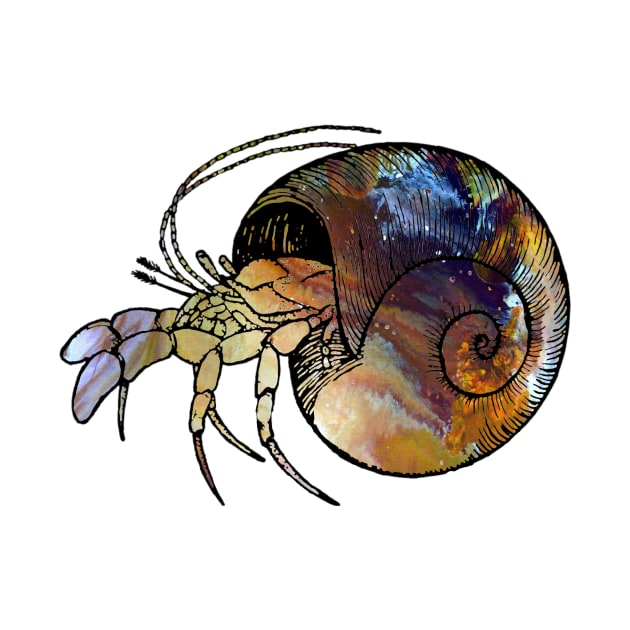 Hermit Crab by BittenByErmines