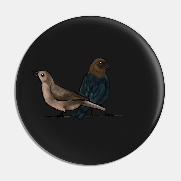 Brown-headed Cowbirds Pin by shehitsback