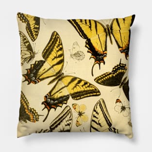 Yellow Butterfly Vintage Botanical Illustration Pillow