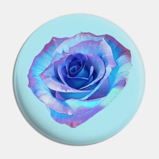 Sky Blue Purple Colorful Rose Pin