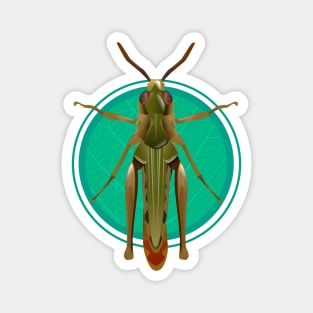 grasshopper Magnet