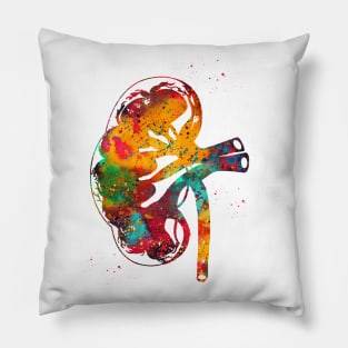 Kidney section Pillow