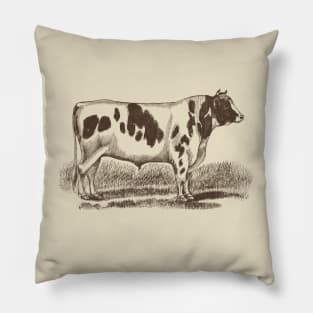 Holstein Bull Vintage Illustration Pillow