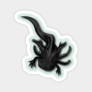 Illustrated Melanoid Axolotl Magnet