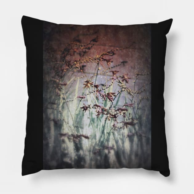 flowers by the Methodist church in Rainier 3 Pillow by DlmtleArt