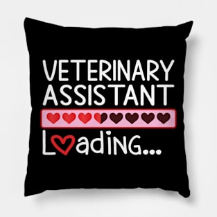 Veterinary Assistant Loading Pillow